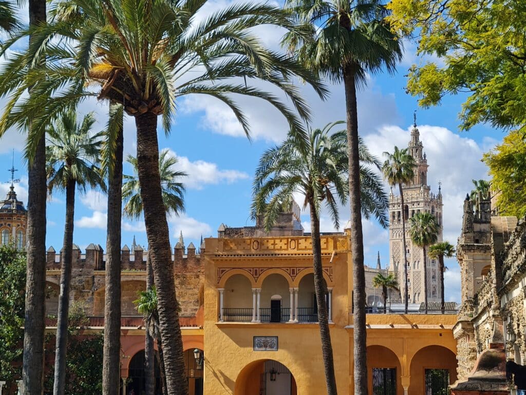 20250324 155348 scaled 1