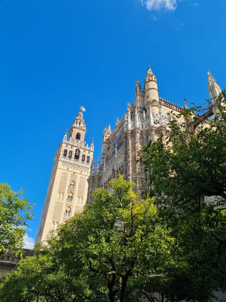 20250324 161807 scaled 1