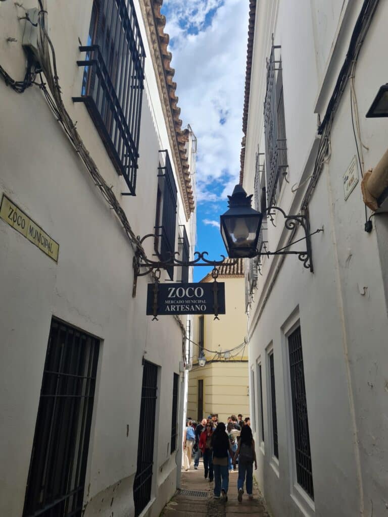 20250325 151419 scaled 1