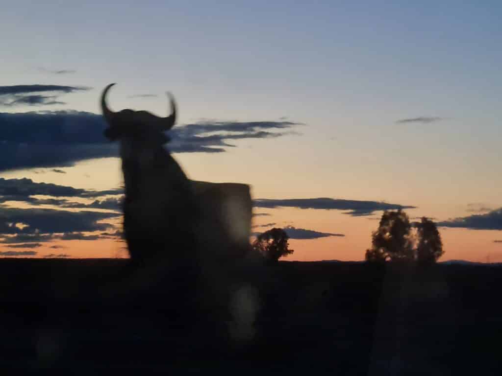 20250325 195823 scaled 1