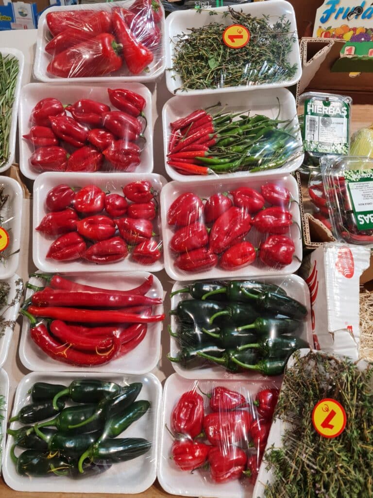 20250326 094801 scaled 2