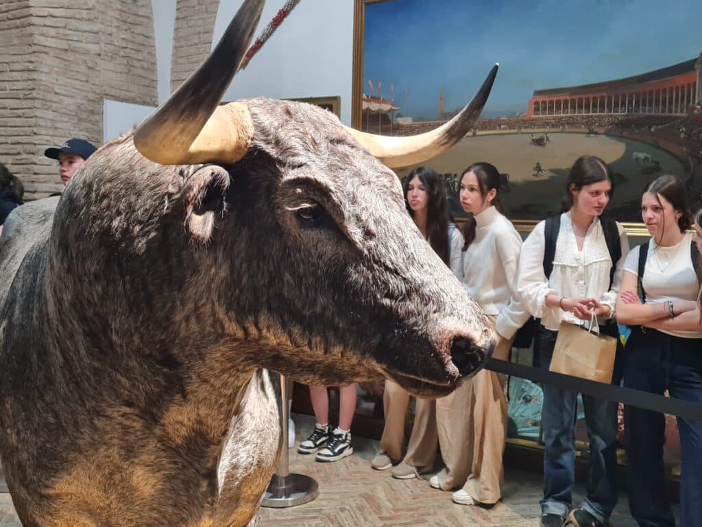 20250327 173328 scaled 1