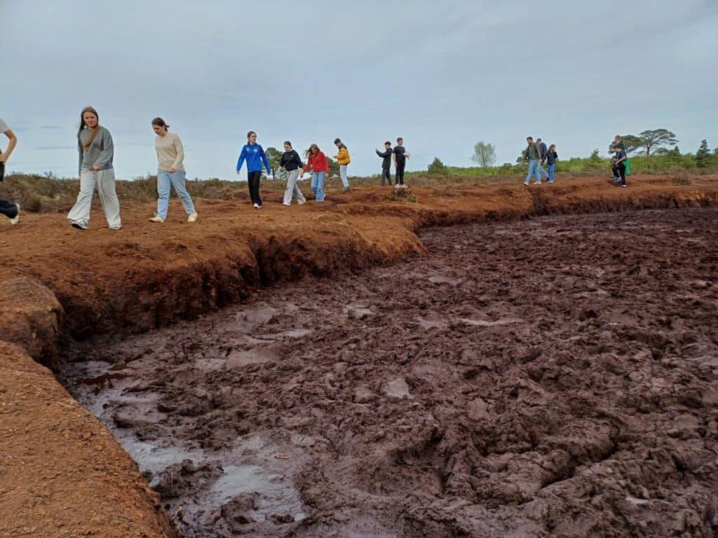 20250428 173914 1280x960 1