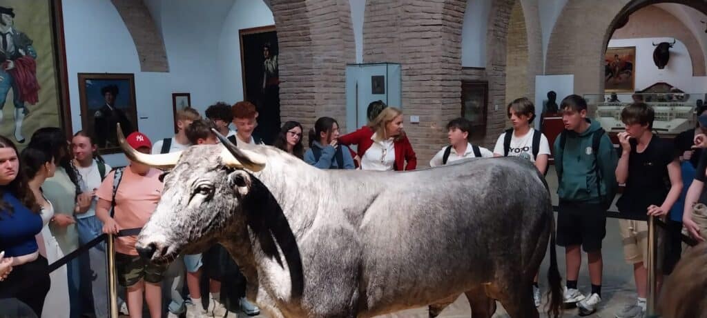 IMG 20250412 WA00201