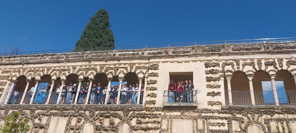 IMG 20250412 WA00301