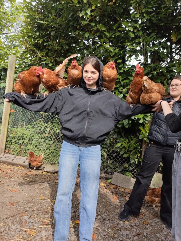 IMG20250428160050 1280x1702 1