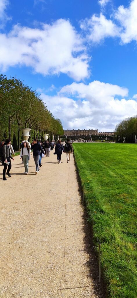 IMG 20240403 144015 980x2124 1