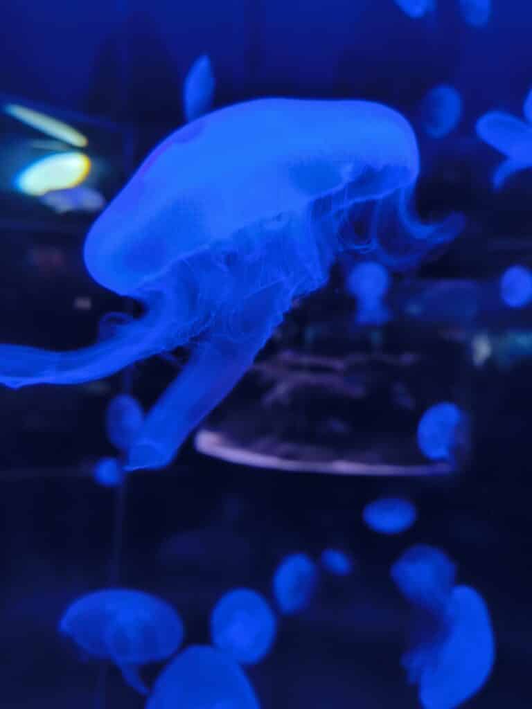 IMG 20250425 153946 1280x1707 1