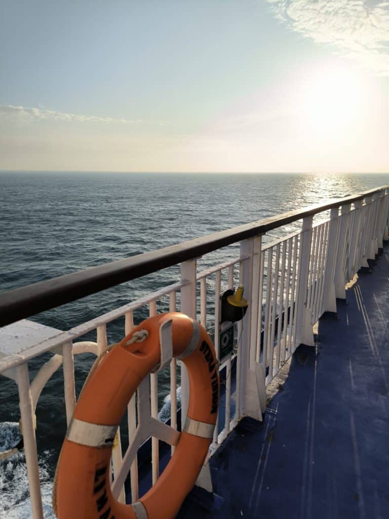 IMG 20250425 200847 1280x1707 1