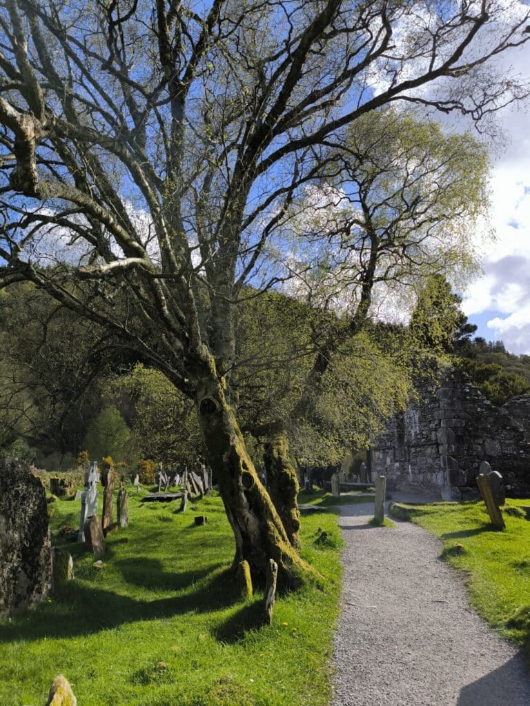 IMG 20250426 164030 1280x1707 1