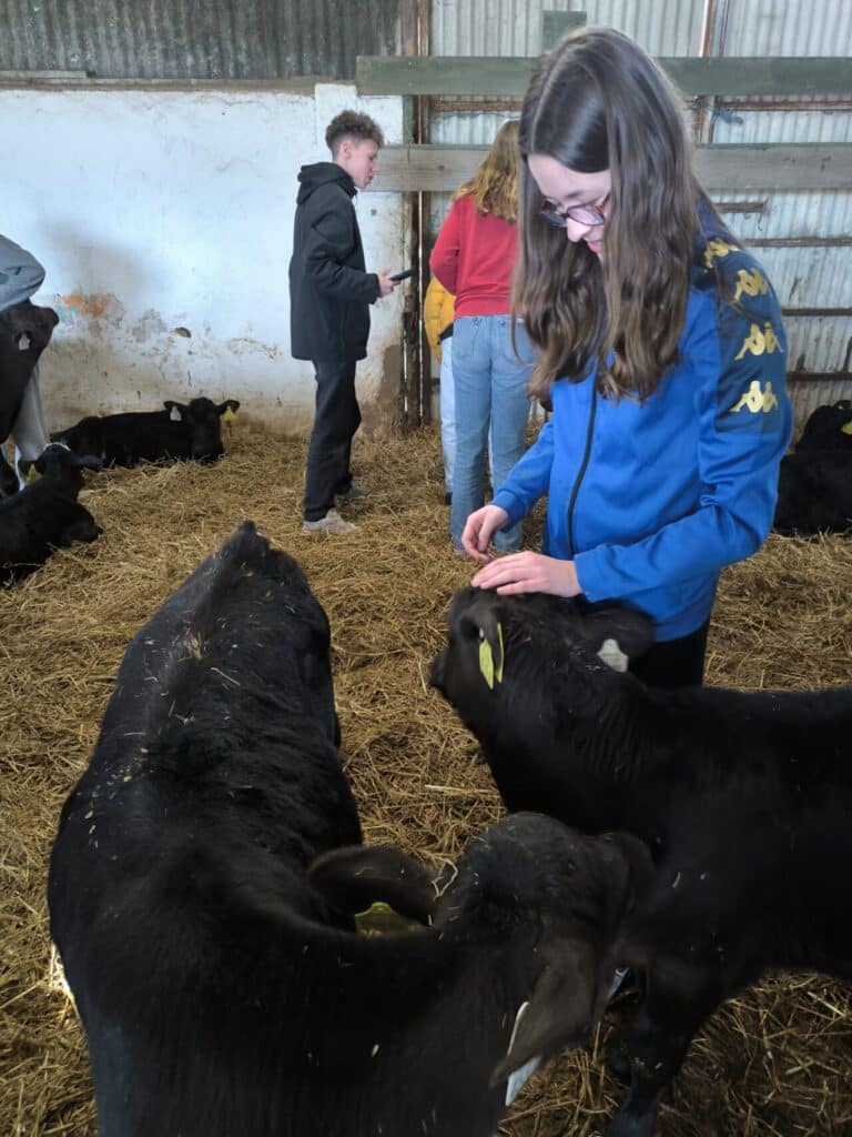 IMG 20250428 154033 1280x1707 1