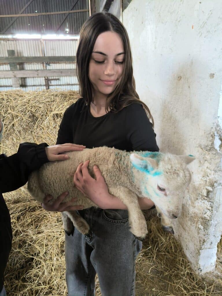 IMG 20250428 154356 1280x1707 1