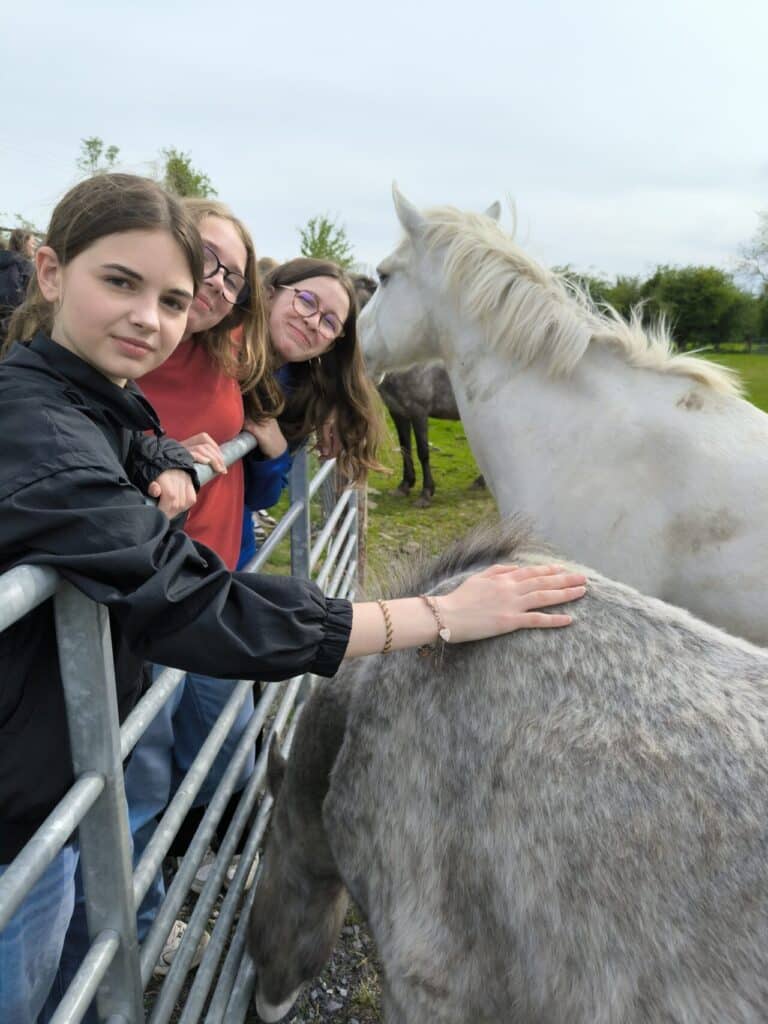 IMG 20250428 161244 1280x1707 1