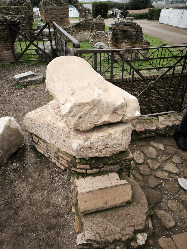 IMG 20260203 112028 scaled 1