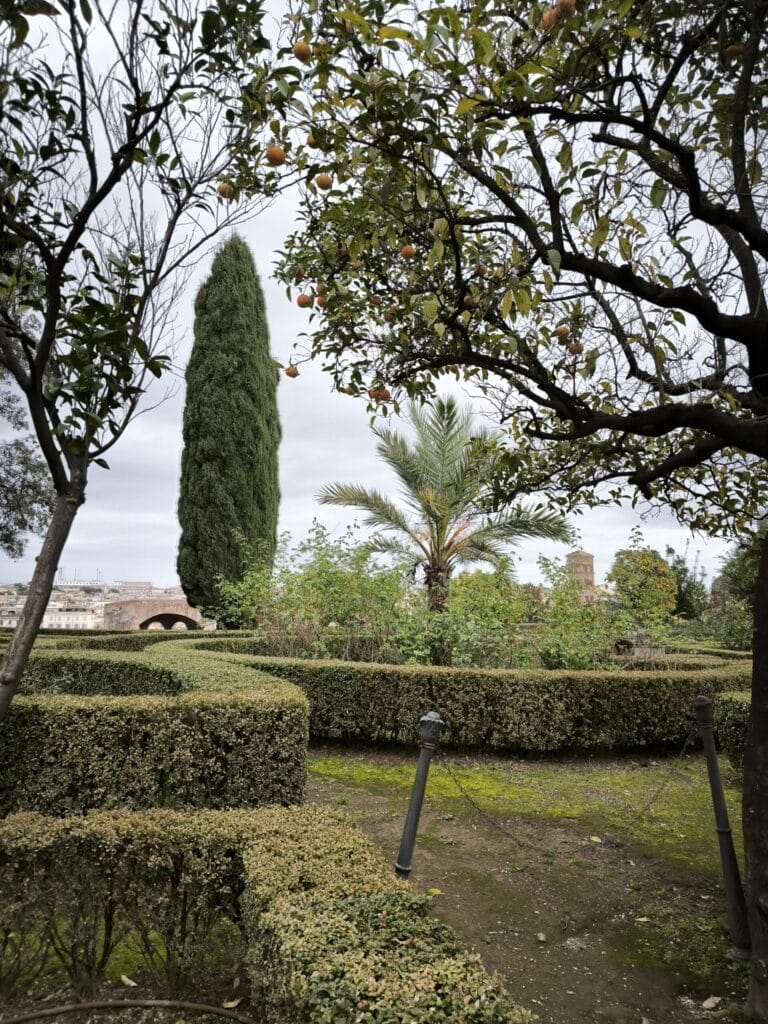 IMG 20260203 113434 scaled 1