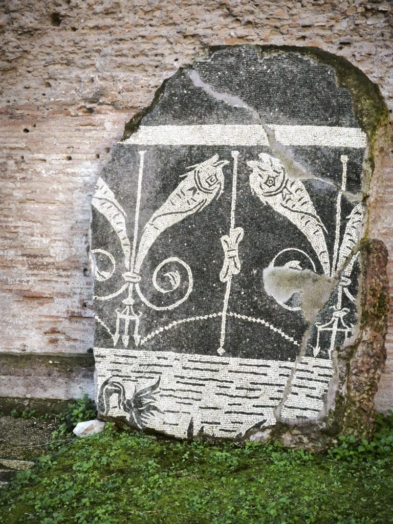 IMG 20260205 105339 scaled 1