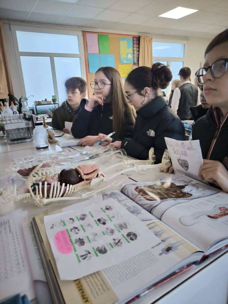 IMG 20260213 100700 scaled 1