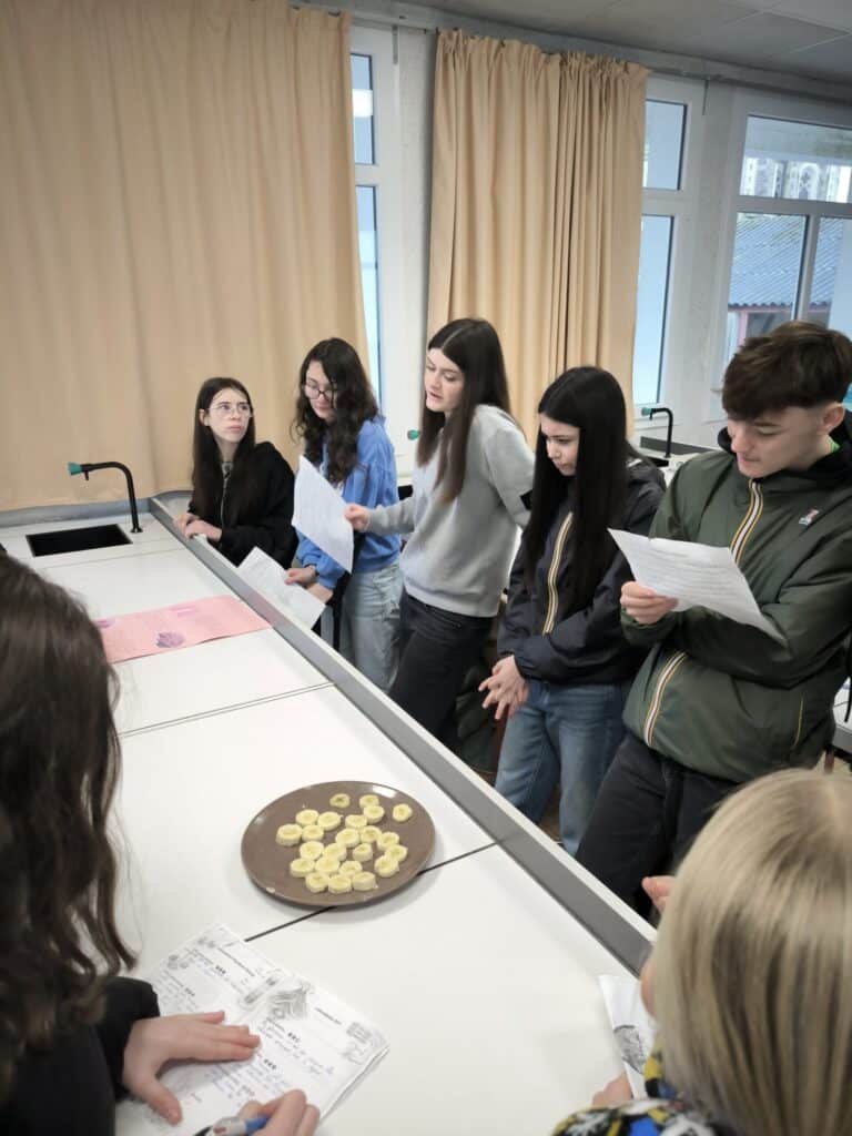 IMG 20260213 101502 scaled 1