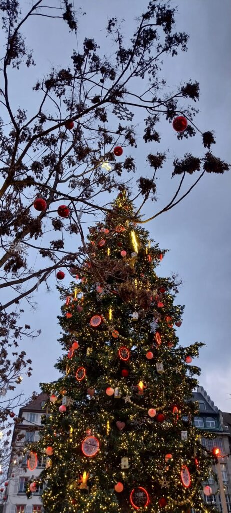 WhatsApp Image 2023 11 28 at 16.17.08