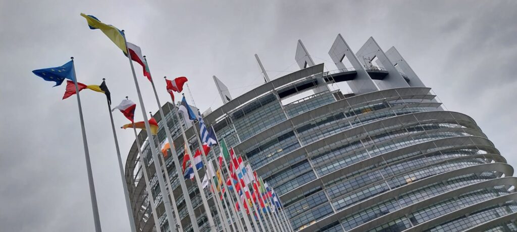 WhatsApp Image 2023 11 28 at 16.51.04 2