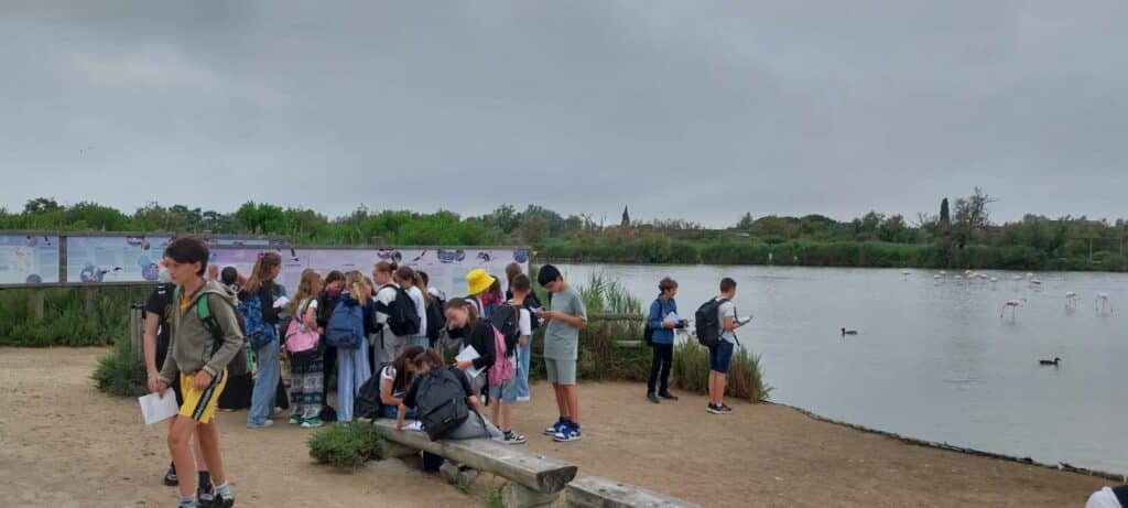 WhatsApp Image 2025 06 16 at 20.36.17