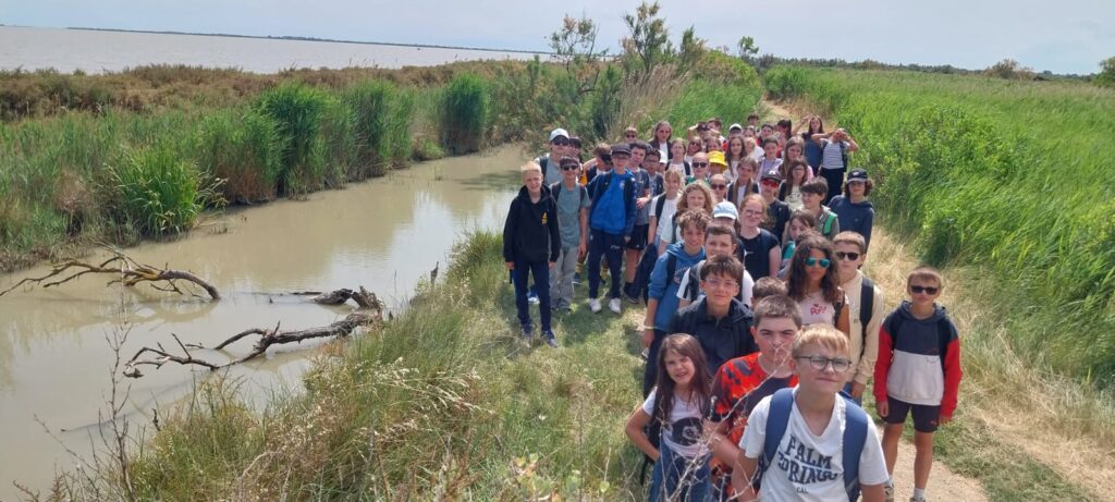 WhatsApp Image 2025 06 16 at 20.36.28