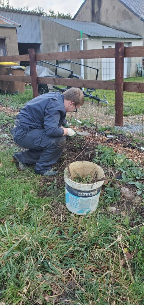 WhatsApp Image 2026 02 04 at 14.28.24 3