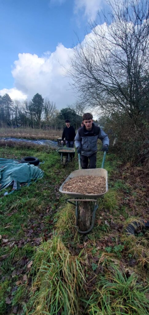 WhatsApp Image 2026 02 04 at 14.28.25