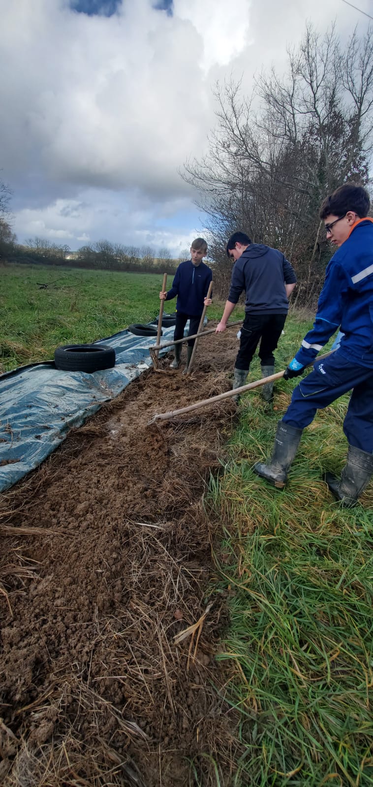 WhatsApp Image 2026 02 04 at 14.28.26 3