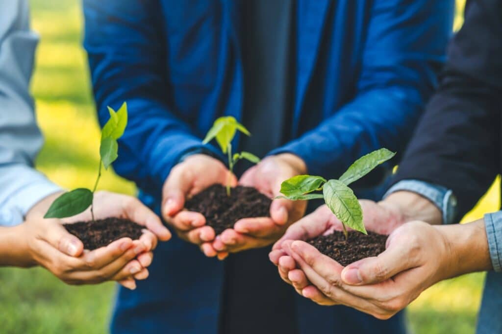 AdobeStock 708019065 Grande